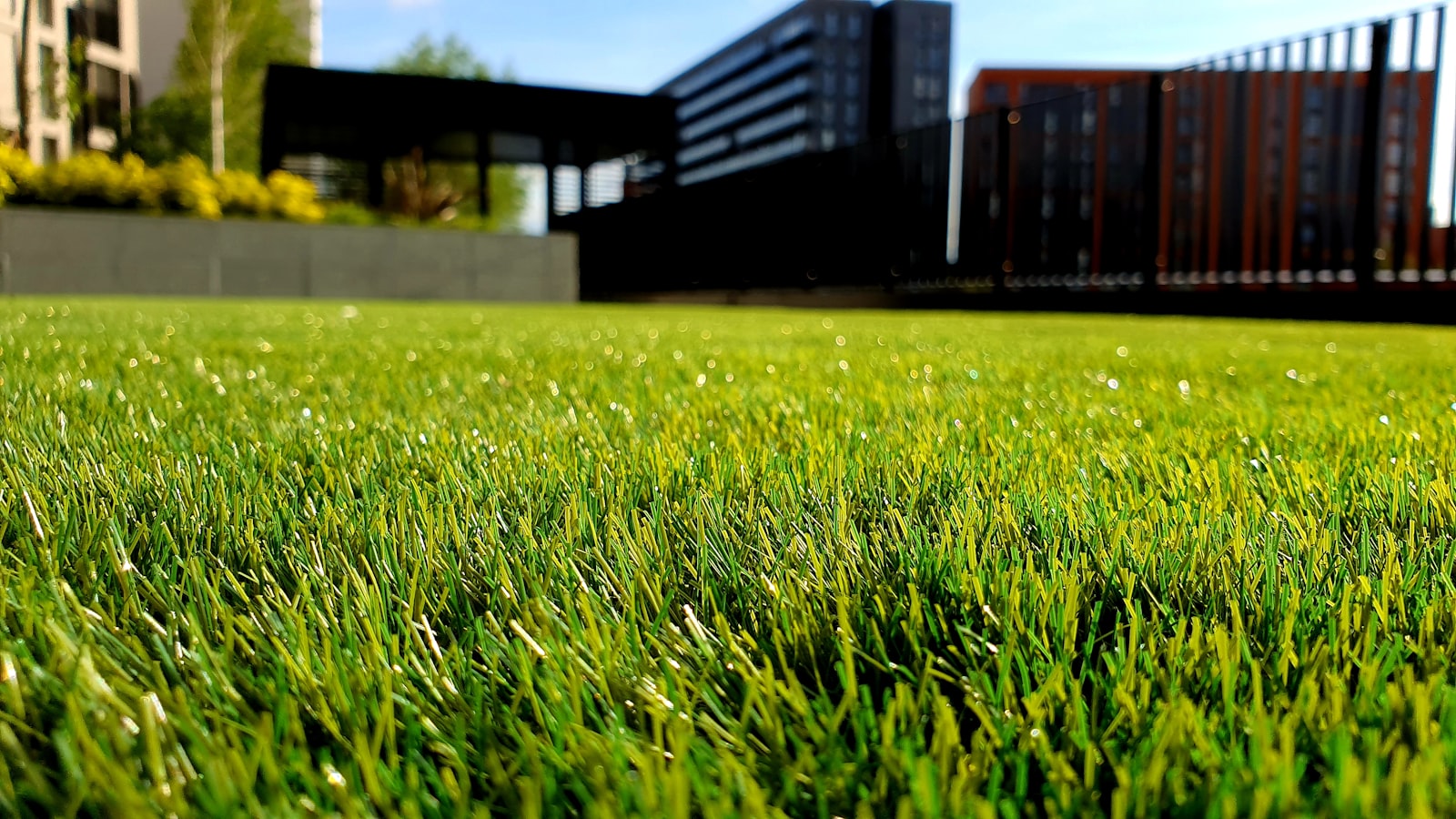 Exterior property and grounds